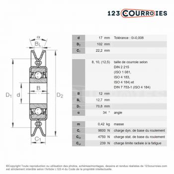 El modelo de Polea tensor INA RSRA17102-KO-AH01 - RSRA17102-KO-AH01-INA