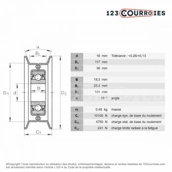 El modelo de Polea tensor INA RSRB16117-LO - RSRB16117-LO-INA