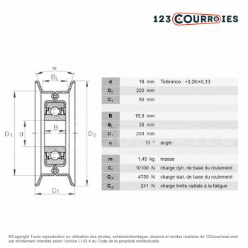 El modelo de Polea tensor INA RSRB16222-LO - RSRB16222-LO-INA