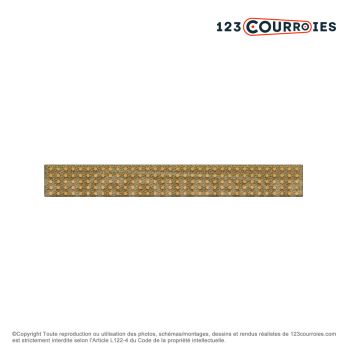 El modelo de Correa plana grapable CP3-20-7000 - CP3-20-7000