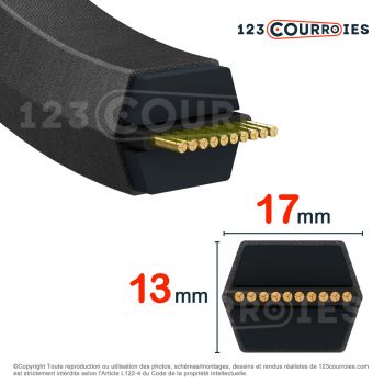 El modelo de Correa hexagonal Optibelt DK BB155 17 x 3969 Lr - BB155-OPTIBELT