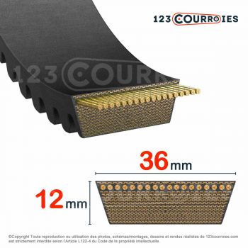 El modelo de Correa variador Mégadyne VARISECT 36x12x1600 Li - 36X12-1600-MEGADYNE