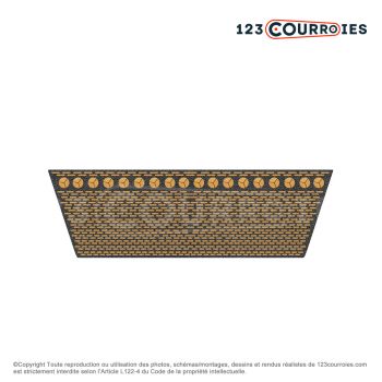 El modelo de Correa variador Mégadyne VARISECT 36x12x1250 Li - 36X12-1250-MEGADYNE