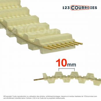 El modelo de Correa dentada doble poliuretano Optibelt Alpha torque DT10-1210-12 - DT10-1210-12-OPTIBELT