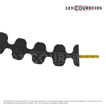 El modelo de Correa dentada doble Optibelt Omega 1610-D14M55 - 1610-D14M55-OPTIBELT