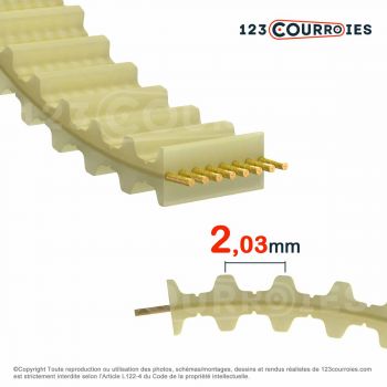 El modelo de Correa dentada doble poliuretano 155DMXL019-PU - 155DMXL019-PU