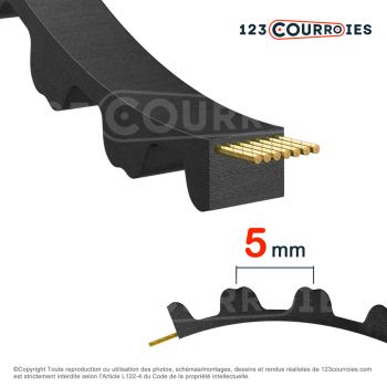 El modelo de Correa dentada simple Mégadyne Isoran 285-RPP5-12 - 285-RPP5-12-MEGADYNE