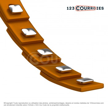 El modelo de Correa trapezoidal de eslabones profil C (22 mm) NUT-C - NUT-C-FENNER
