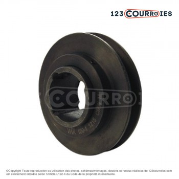El modelo de Polea trapezoidal de diámetro variable PVAR120/SPA/1MA - PVAR120/SPA/1MA