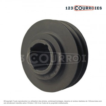 El modelo de Polea trapezoidal de diámetro variable PVAR138/A/2MA - PVAR138/A/2MA