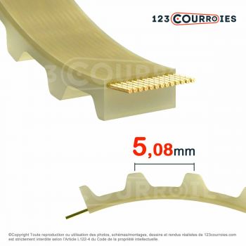 El modelo de Correa dentada simple poliuretano Mégadyne Megapower 110XL031-PUK - 110XL031-PUK-MEGADYNE