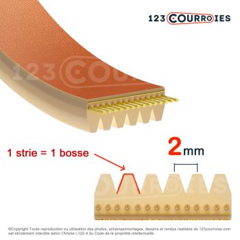 El modelo de Correa poly-v poliuretano Mégadyne 5-430TB2 - 5-430TB2-MEGADYNE
