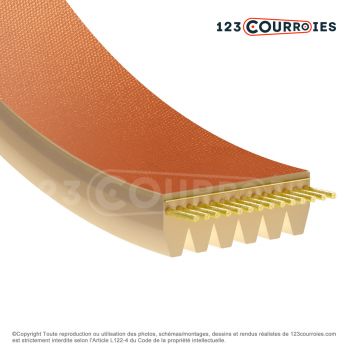 El modelo de Correa poly-v poliuretano Mégadyne 5-660TB2 - 5-660TB2-MEGADYNE