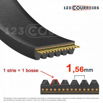 El modelo de Correa poly-v Optibelt RB 13PH955 - 13PH955-OPTIBELT