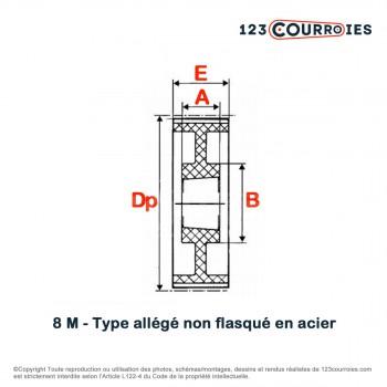 El modelo de Polea dentada para casquillo cónico PDL10060MA - PDL10060MA