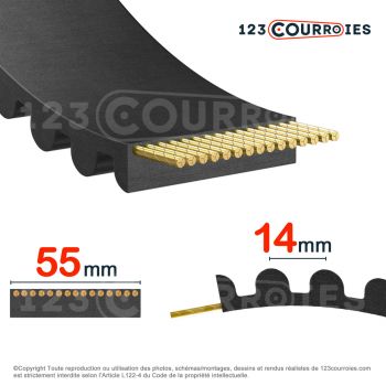 El modelo de Correa dentada abierta 14M55-NEOGLASS-GATES - 14M55-NEOGLASS-GATES