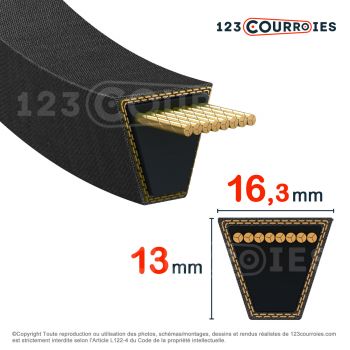 El modelo de Correa trapezoidal lisa SPB1625 - SPB1625