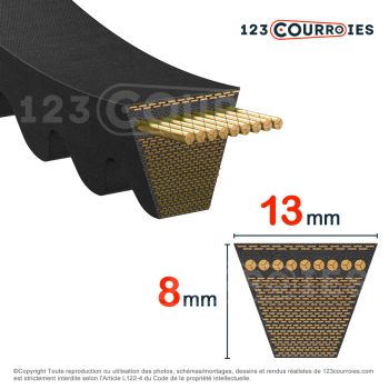 El modelo de Correa trapezoidal dentada Contitech Conti V FO AX49.5 13 x 1257 Li / 1287 Ld - AX49.5-CONTITECH
