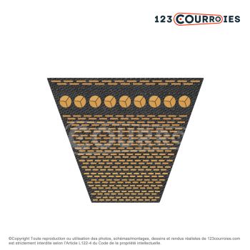 El modelo de Correa trapezoidal dentada Contitech Conti V FO AX49.5 13 x 1257 Li / 1287 Ld - AX49.5-CONTITECH
