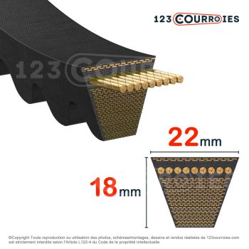 El modelo de Correa trapezoidal dentada XPC4750 - XPC4750