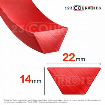 El modelo de Correa trapezoidal termosellable C - C-PU-ROUGE