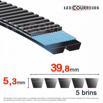 El modelo de Correa trapezoidal poliuretano Gates Polyflex 7M670/5 - 7M670/5-GATES