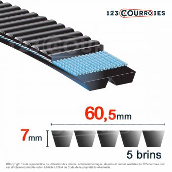 El modelo de Correa trapezoidal poliuretano Bando Banflex 5-11MS1450 - 5-11MS1450-BANDO