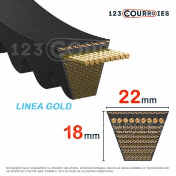 El modelo de Correa trapezoidal dentada Mégadyne LineaGold XPC2500 - XPC2500LG-MEGADYNE