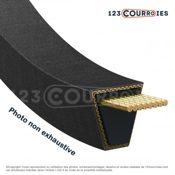 El modelo de Correa 229863M1 - 229863M1