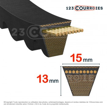 El modelo de Correa trapezoidal dentada Mégadyne Power Wedge 5VX1600 - 5VX1600-MEGADYNE