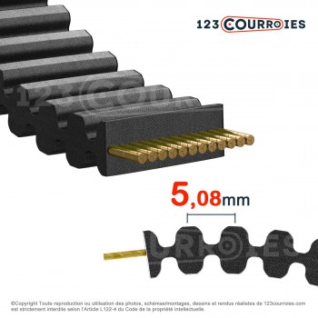 El modelo de Correa dentada doble Mégadyne Isoran DD 530DXL025 - 530DXL025-MEGADYNE