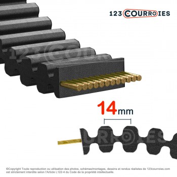El modelo de Correa dentada doble Mégadyne RPP DD 966-RPP14DD85 - 966-RPP14DD85-MEGADYNE