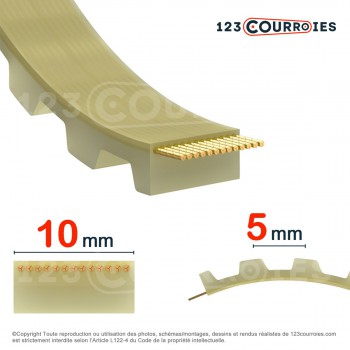 El modelo de Correa dentada abierta 10AT5-PUSTEEL - 10AT5-PUSTEEL