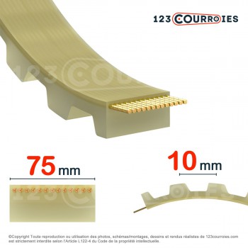 El modelo de Correa dentada abierta 75AT10-PUSTEEL - 75AT10-PUSTEEL