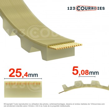 El modelo de Correa dentada abierta XL100-PUSTEEL - XL100-PUSTEEL