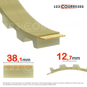 El modelo de Correa dentada abierta H150-PUSTEEL - H150-PUSTEEL