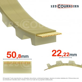El modelo de Correa dentada abierta XH200-PUSTEEL-MEGADYNE - XH200-PUSTEEL-MEGADYNE