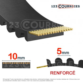 El modelo de Correa dentada abierta 5MR10-NEOGLASS-GATES - 5MR10-NEOGLASS-GATES