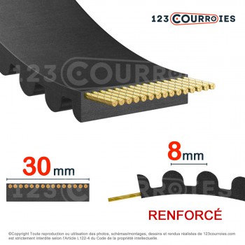 El modelo de Correa dentada abierta 8MR30-NEOGLASS-GATES - 8MR30-NEOGLASS-GATES