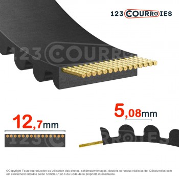 El modelo de Correa dentada abierta XL050-NEOGLASS - XL050-NEOGLASS