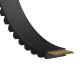 Correa dentada reforzada Gates Powergrip GT3 282-3MGT3