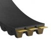 Correa multicanales dentada 5-XPB3000