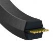 Correa hexagonal Optibelt DK BB155 17 x 3969 Lr