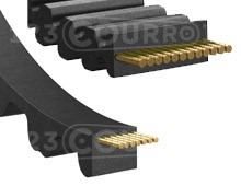 Nuestros modelos de Correa de Neopreno