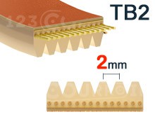 Nuestros modelos de Correa sección TB2