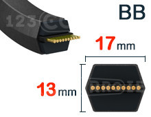 Nuestros modelos de Correa BB