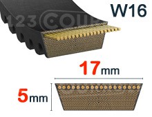 Nuestros modelos de 17mm x 5mm - W16