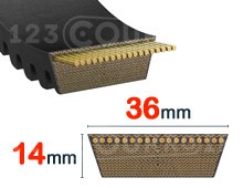 Nuestros modelos de 36mm x 14mm