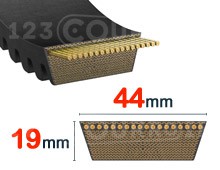 Nuestros modelos de 44mm x 19mm