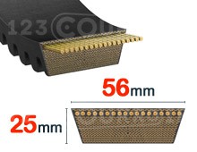 Nuestros modelos de 56mm x 25mm
